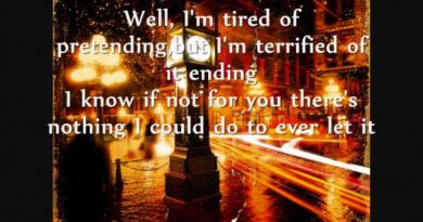Nickelback - Don't Ever Let It End