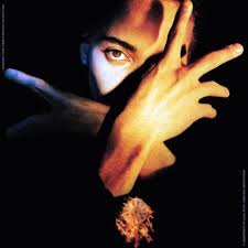 Terence Trent D'Arby – Roly Poly