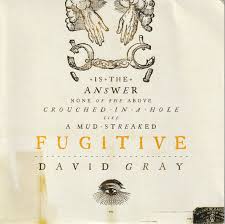 David Gray - Fugitive