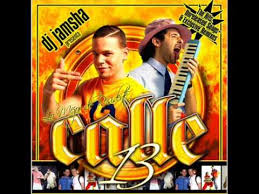 Calle 13 - Tal Para Cual Clean Version