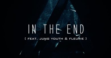 Tommee Profitt, Fleurie, Jung Youth - In the End