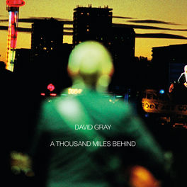 David Gray - One Too Many Mornings