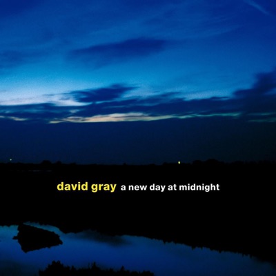 David Gray - Last Boat To America