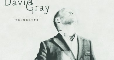 David Gray - Fixative