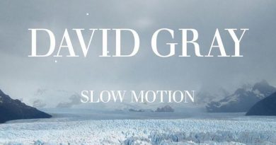 David Gray - Disappearing World