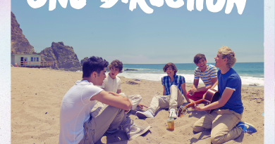 One Direction - Moments