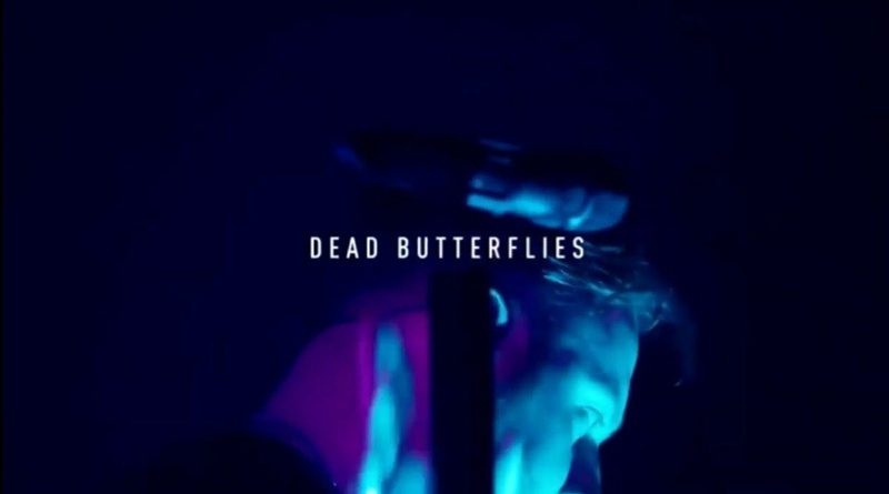 Architects - Dead Butterflies