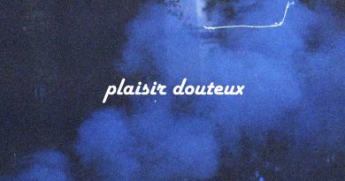 Plaisir Douteux - Ничего реального нет