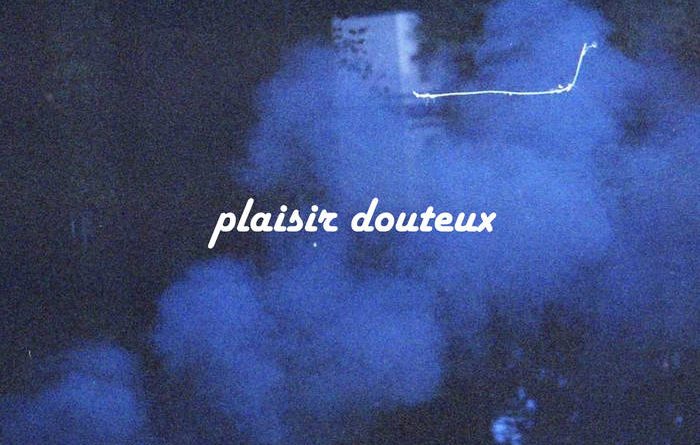 Plaisir Douteux - Ничего реального нет