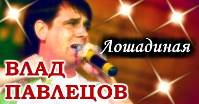 Влад Павлецов - Лошадиная