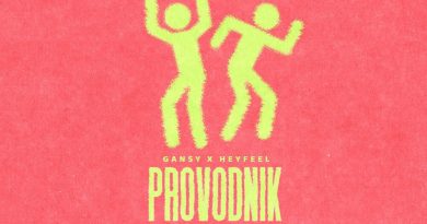 Gansy, HEYFEEL - PROVODNIK