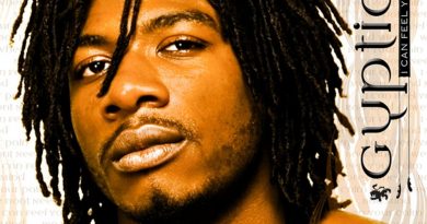 Gyptian - I Can Feel Your Pain