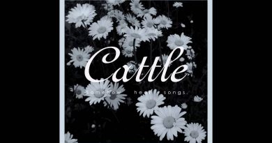 Cattle - Bit and Little