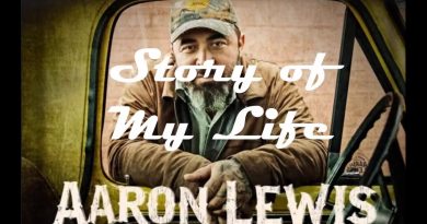 Aaron Lewis — Story Of My Life
