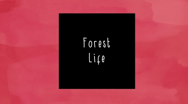 McCafferty - Forest Life