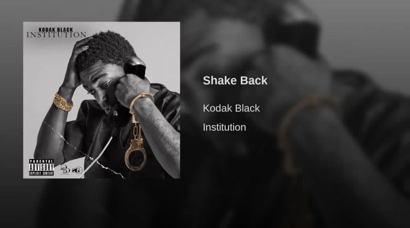 Kodak Black - Shake Back