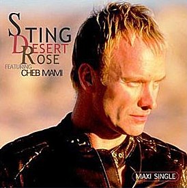 Sting & Cheb Mami Desert Rose