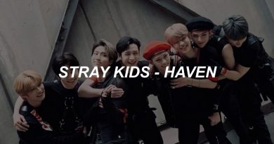 Stray Kids - Haven