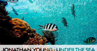 Jonathan Young - Under The Sea