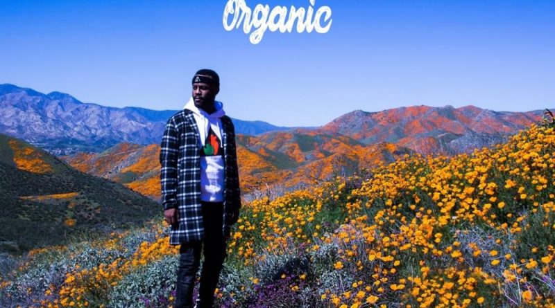 Casey Veggies — Awarded