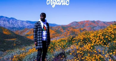 Casey Veggies, The Game — Candy