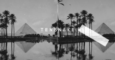 Tensnake — Desire