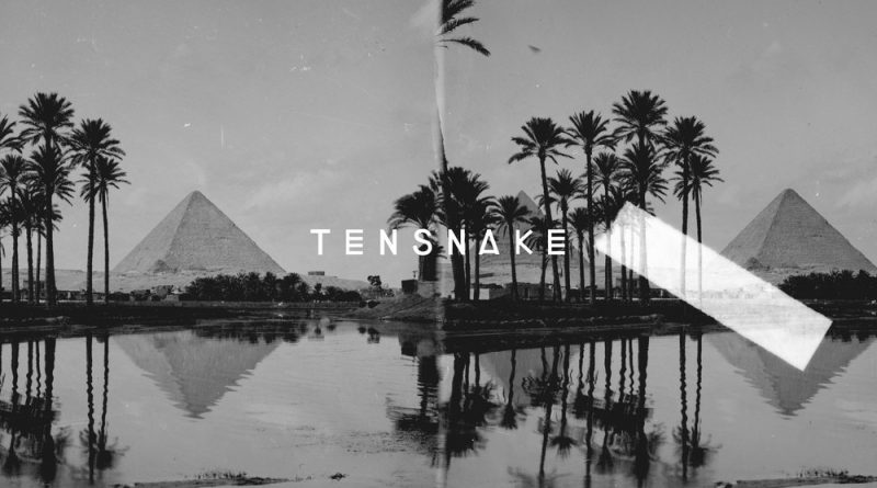 Tensnake — Desire