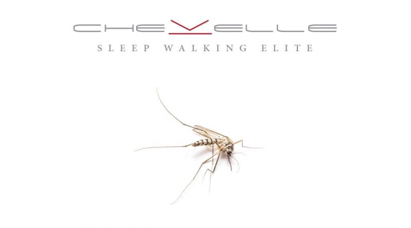 Chevelle - Sleep Walking Elite