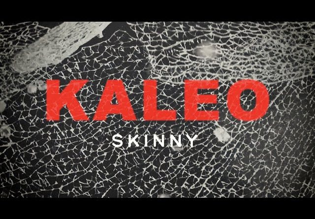 Kaleo - Skinny