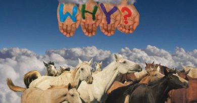 WHY? - Good Friday