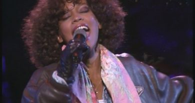 Whitney Houston - Didn't We Almost Have It All