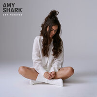 Amy Shark - The Wolves
