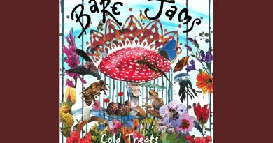 Bare Jams - Tree Top Towns