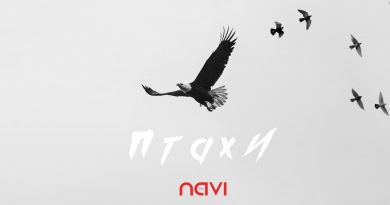 Ivan NAVI - Птахи