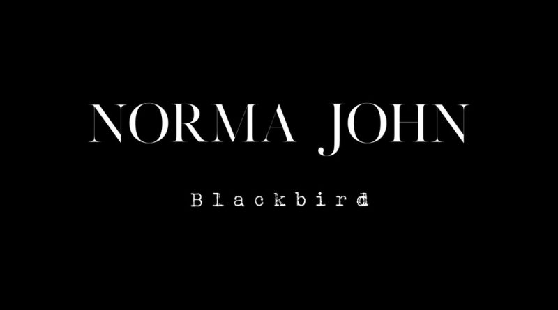 Norma John - Blackbird