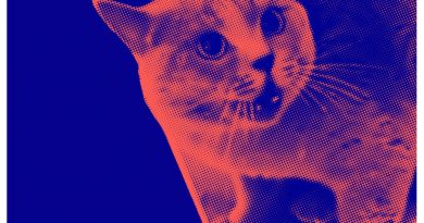 The Kiffness - Alugalug Cat