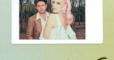 Anne-Marie, Niall Horan - Our song