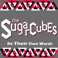 The Sugarcubes - Delicious Demon