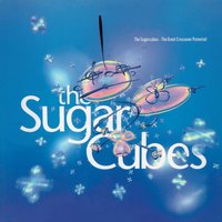 The Sugarcubes - Pump
