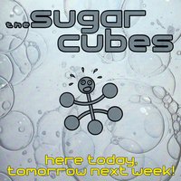 The Sugarcubes - Tidal Wave
