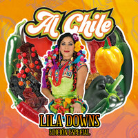 Lila Downs - Clandestino