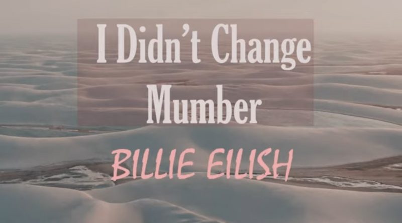 Billie Eilish - I Didn't Change My Number