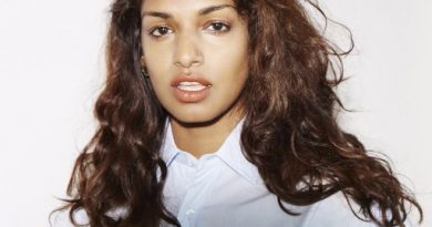 M.I.A. - Visa