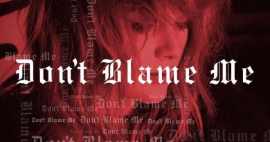 Taylor Swift - Don’t Blame Me