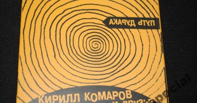 Кирилл Комаров - Путь дурака