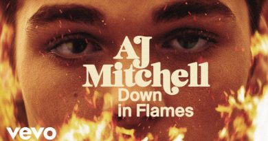 AJ Mitchell - Down In Flames