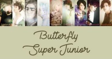 SUPER JUNIOR - 빠삐용 Butterfly