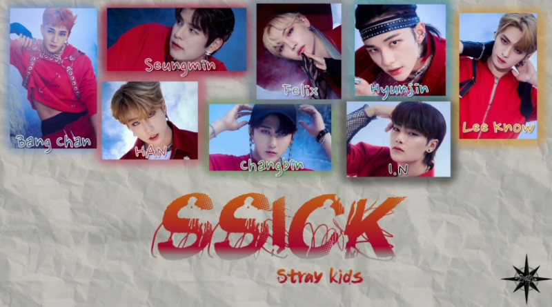 Stray Kids - SSICK