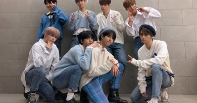 Stray Kids - The View