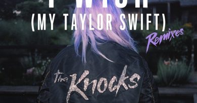 Matthew Koma, The Knocks - I Wish (My Taylor Swift)